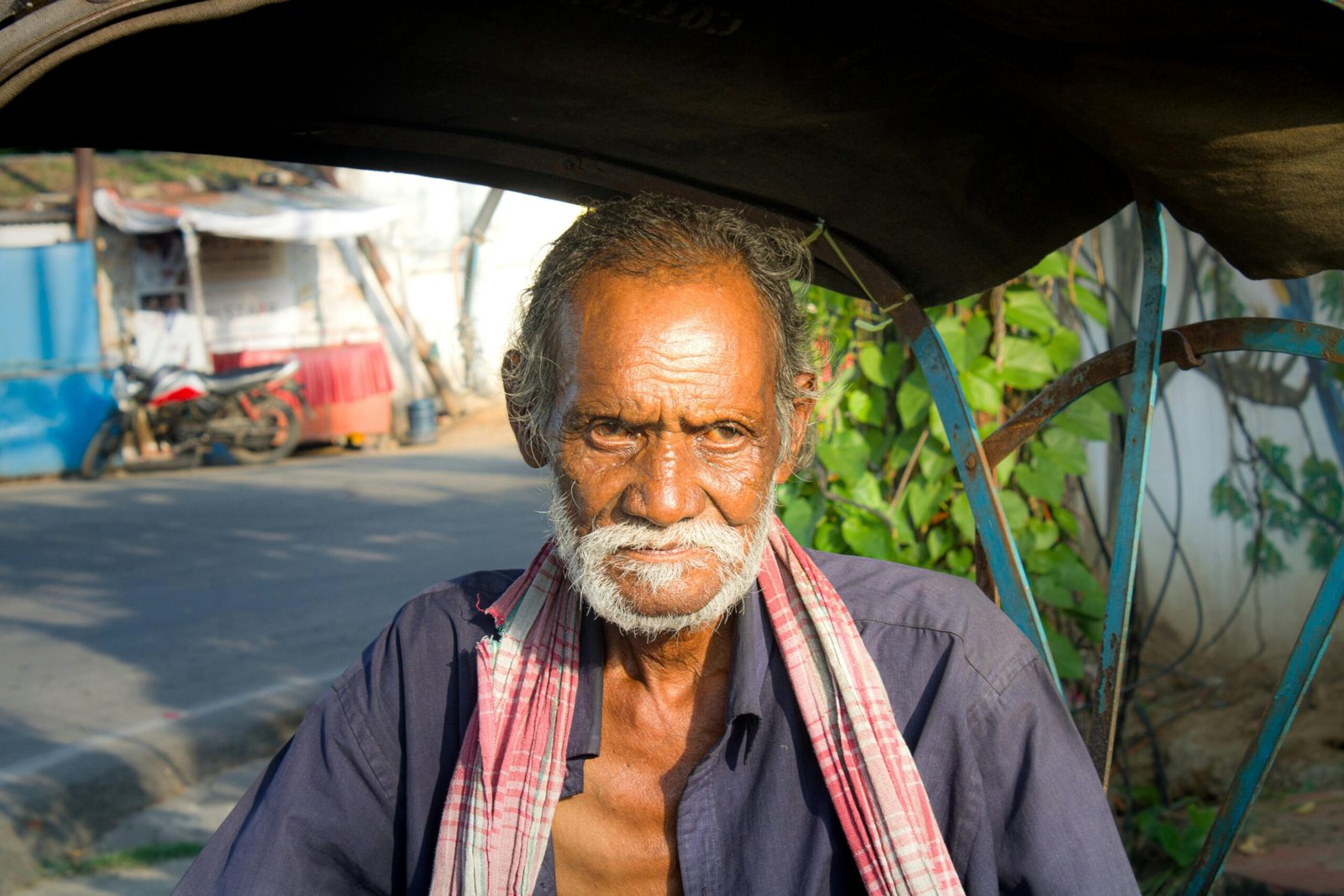 Ayurvedic Wisdom