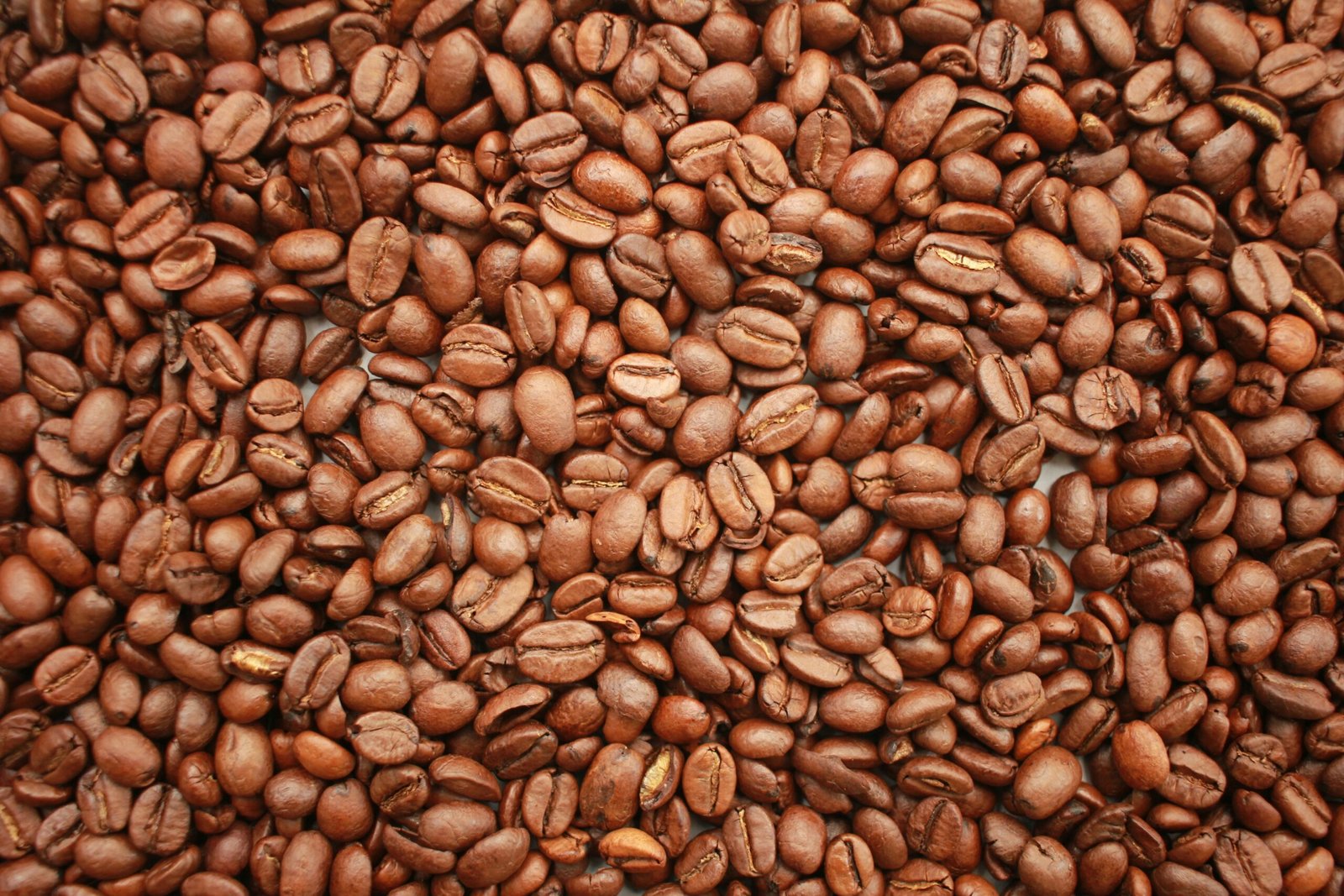 ajwain seeds closeup