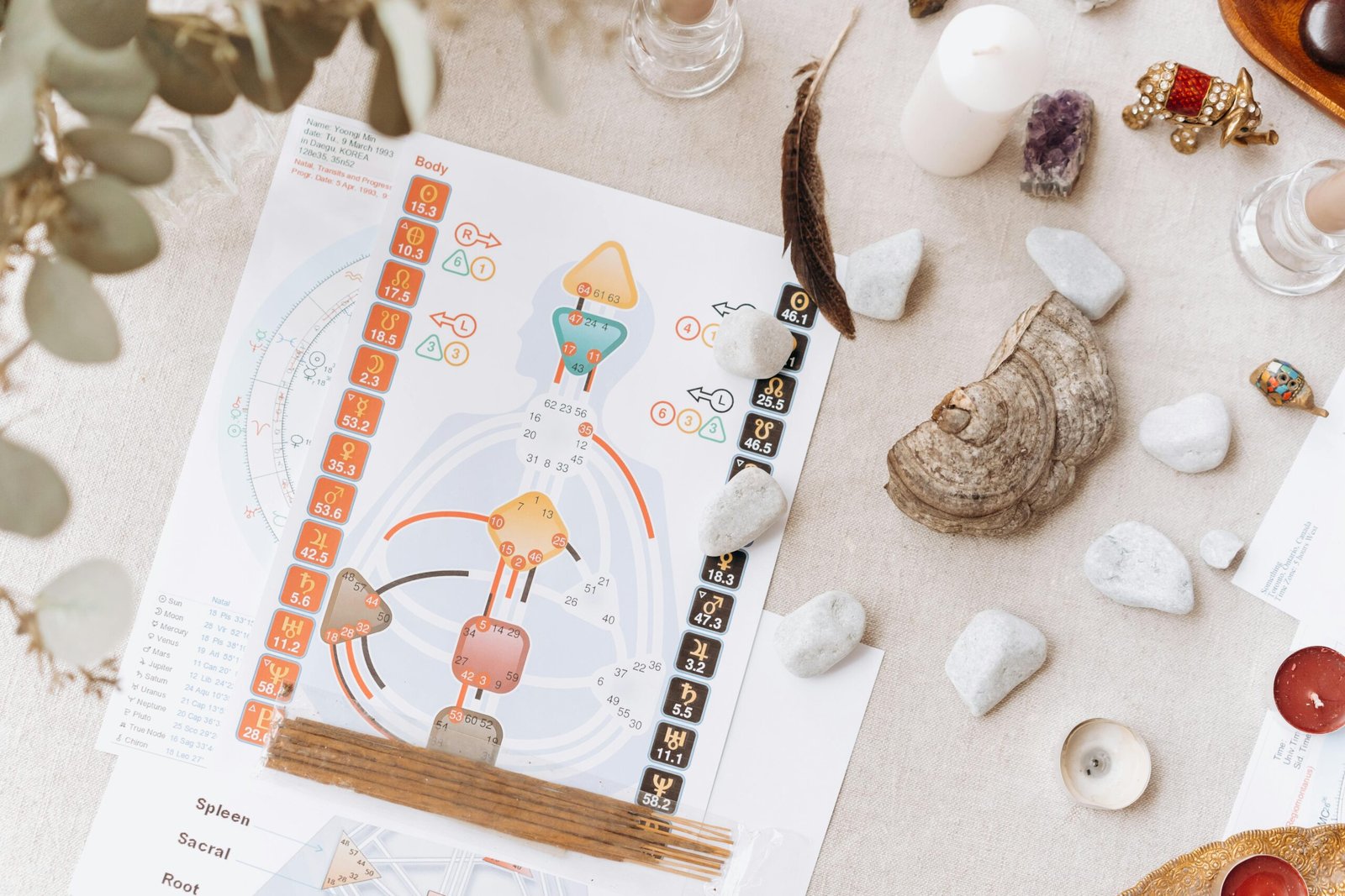 Ayurveda Dosha Chart illustrating Vata, Pitta, and Kapha balance