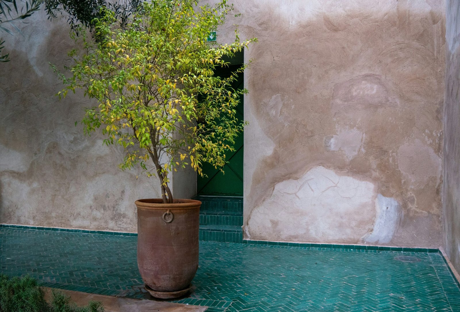Before-and-after photo collage featuring two individuals who incorporated ashwagandha into their routines.
