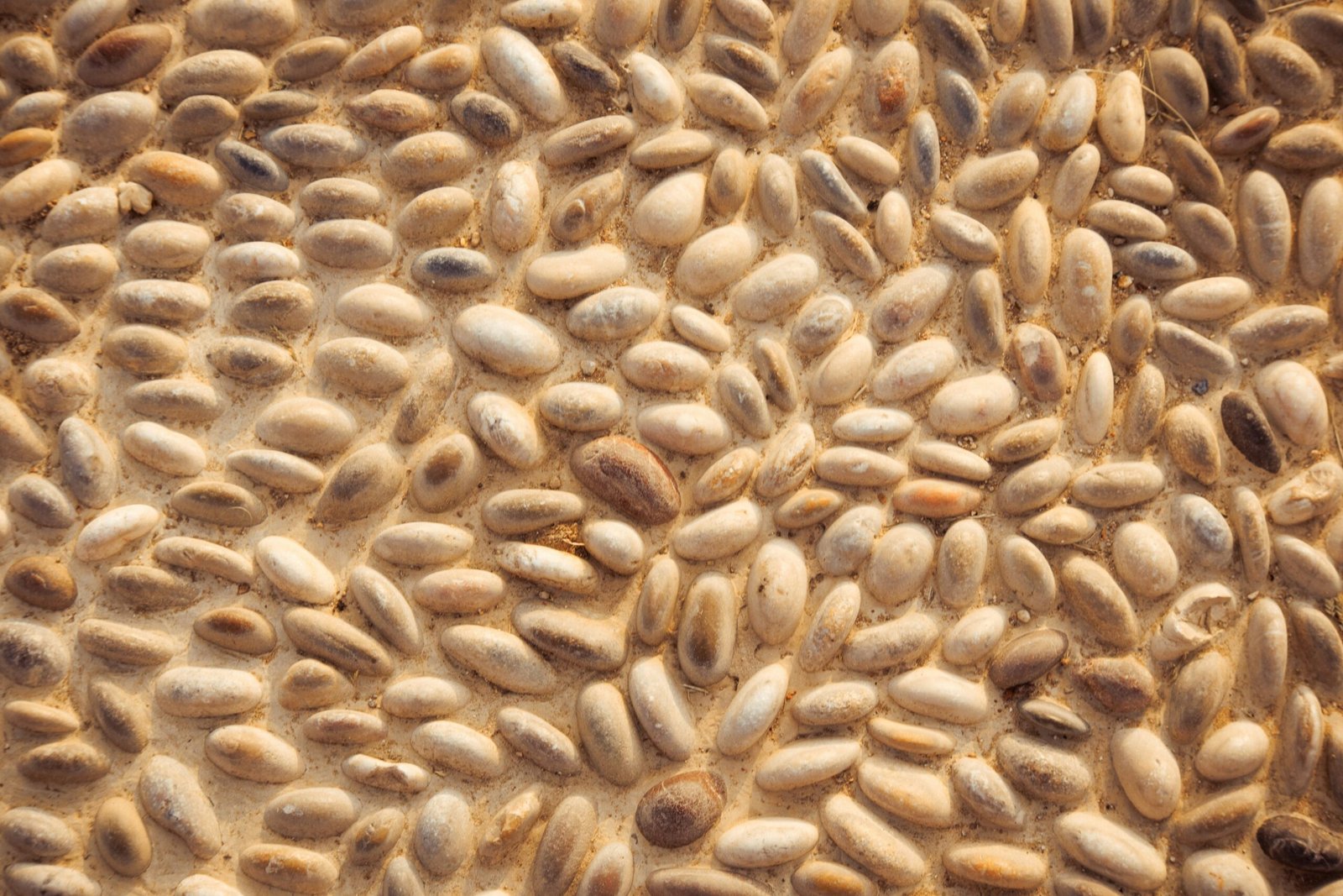 Close-up image of dried fenugreek seeds in a wooden bowl.