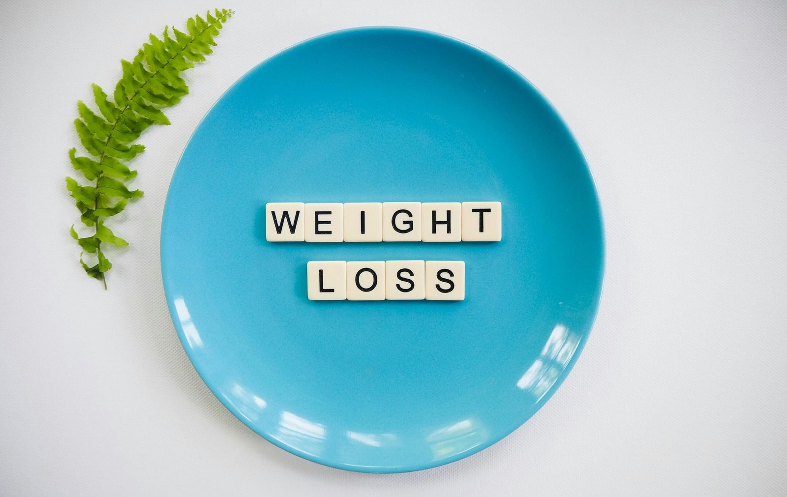 Dosha Diet Communication Plans