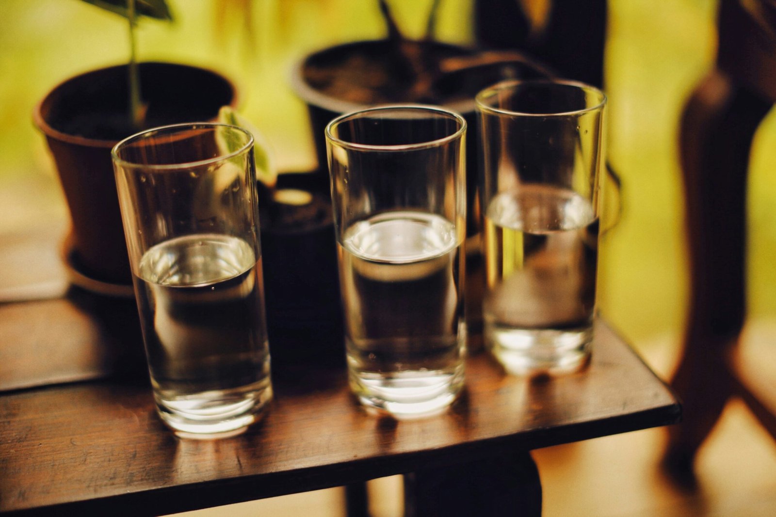Illustration of a checklist featuring tips such as drinking cool water and avoiding alcohol for the pitta diet.