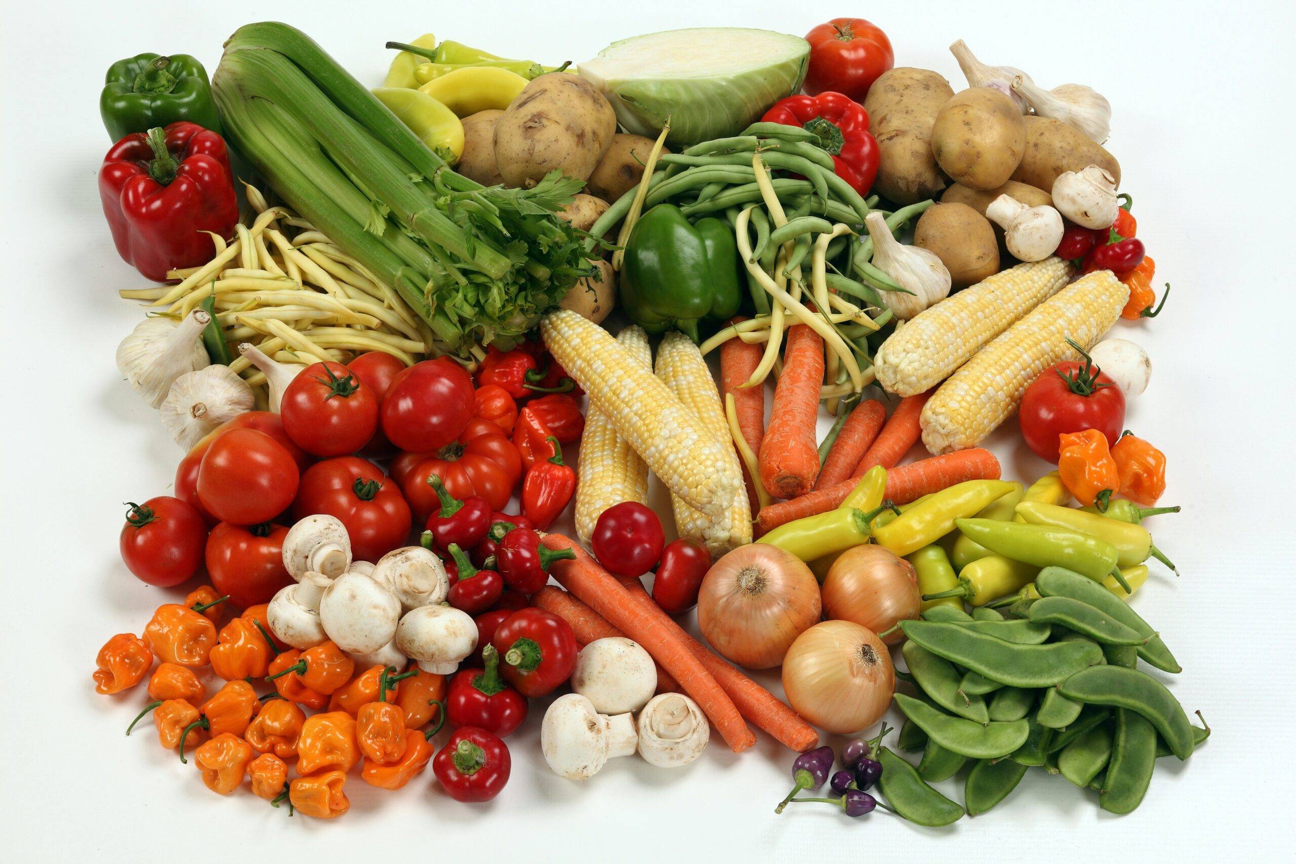 Discover the Power of Vata Balance Foods for Ayurvedic Weight Loss