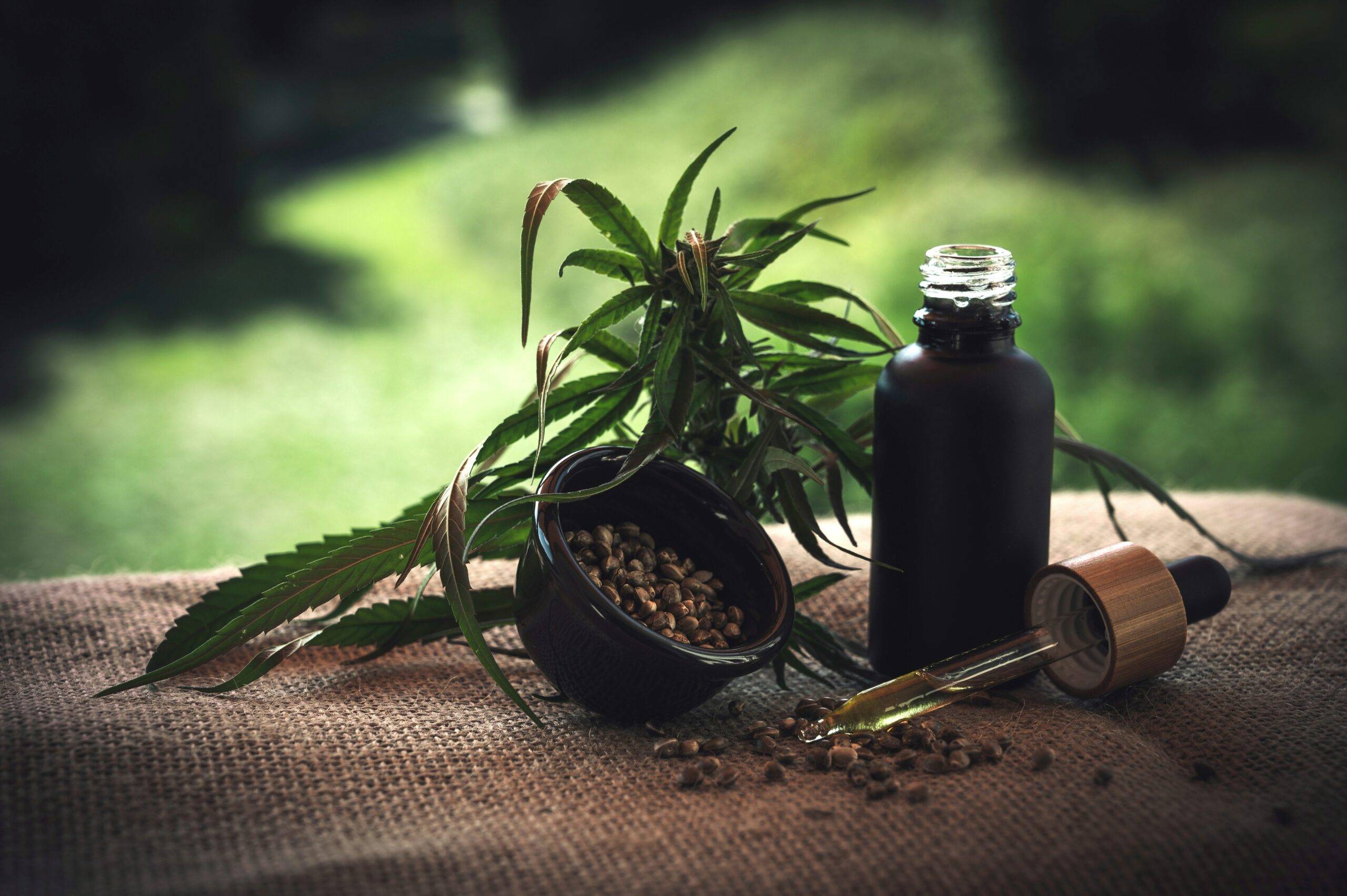 How Licorice Root Can Revolutionize Your Ayurvedic Weight Loss Journey