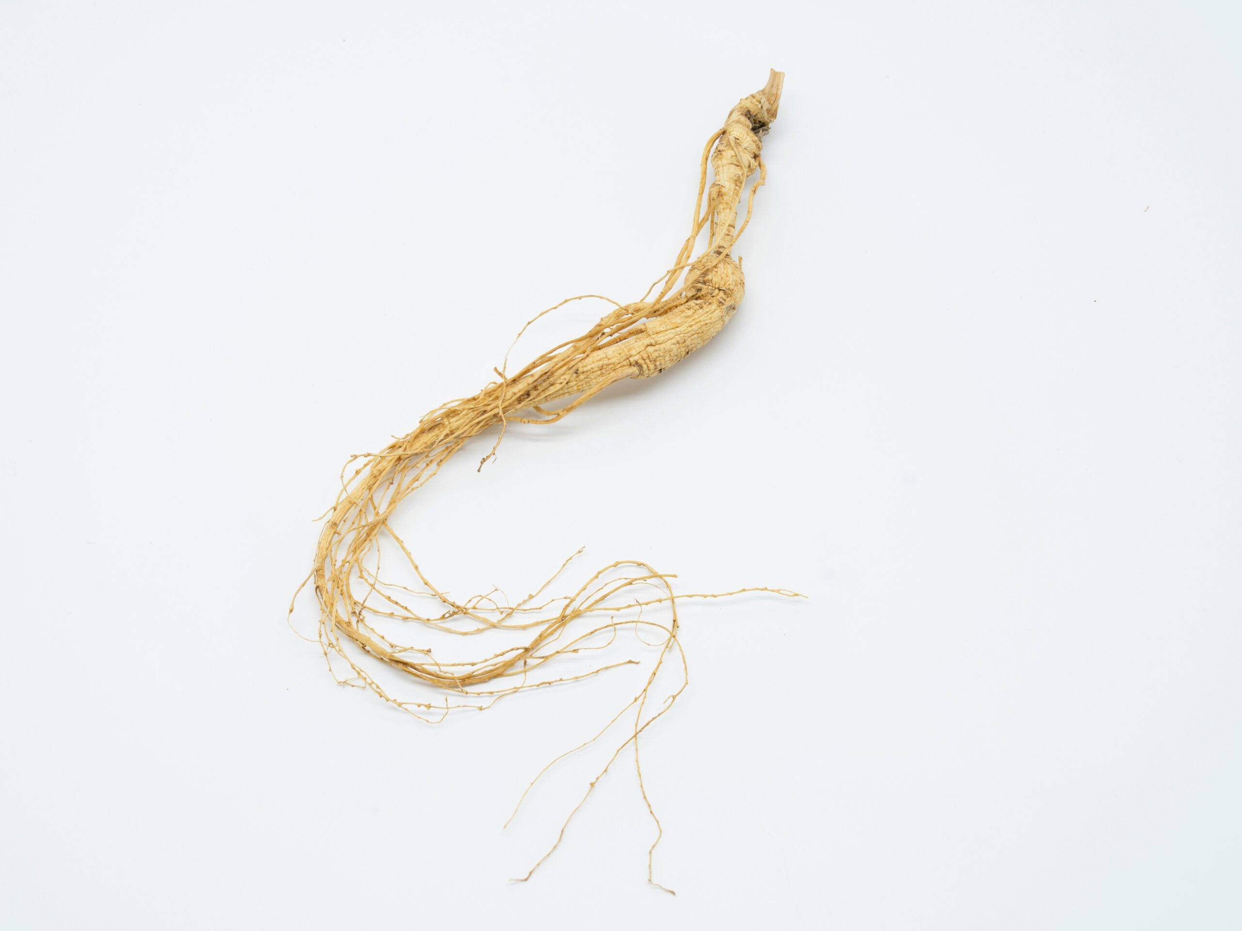Licorice root tea being brewed for health benefits