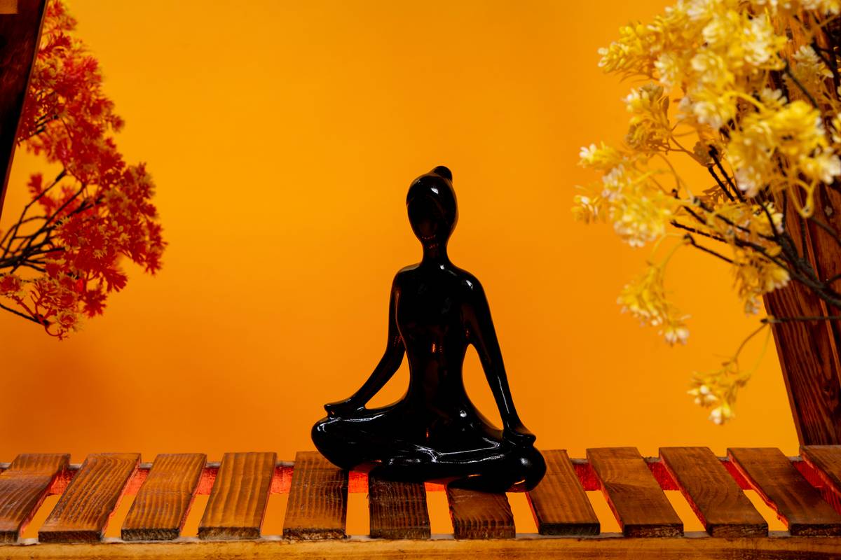 Comparison graph showing differences between western diets and Ayurveda principles