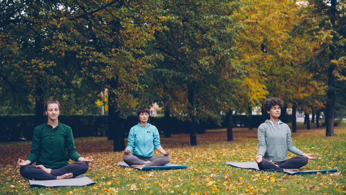 Infographic showing Ayurvedic principles like doshas, herbal teas, and mindfulness
