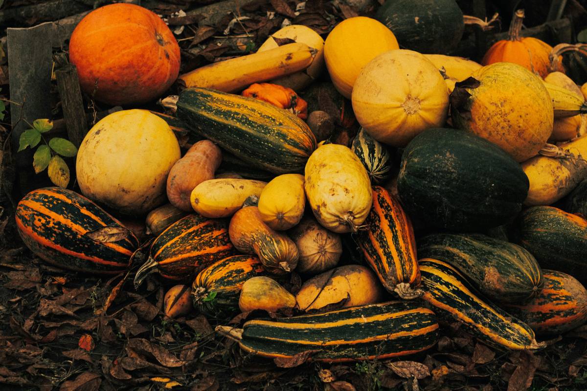 Unlock the Secrets of Weight Loss with a Seasonal Ayurvedic Diet